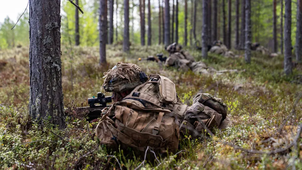 Альянс внедряет платформу Maven Smart System (MSS) компании Palantir для объединения разведданных в реальном времени, ускорения принятия решений и усиления наблюдения за восточным флангом.