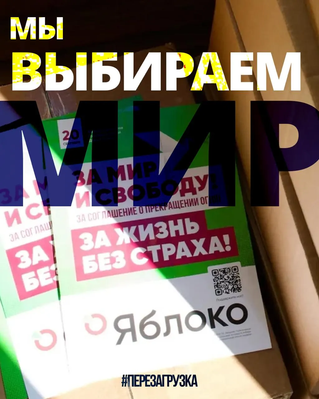 Кампания партии «Яблока» набирает обороты: 135 кандидатов в 53 регионах, более 1000 заявок в московское отделение и поддержка россиян за границей.