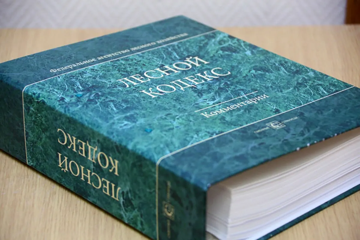 С 2006 года в Лесной кодекс вносили многочисленные поправки — уже 79 пакетов, последний из которых вступит в силу в сентябре. Эксперт по лесному хозяйству считает, что документ необходимо заменить коротким и понятным кодексом.