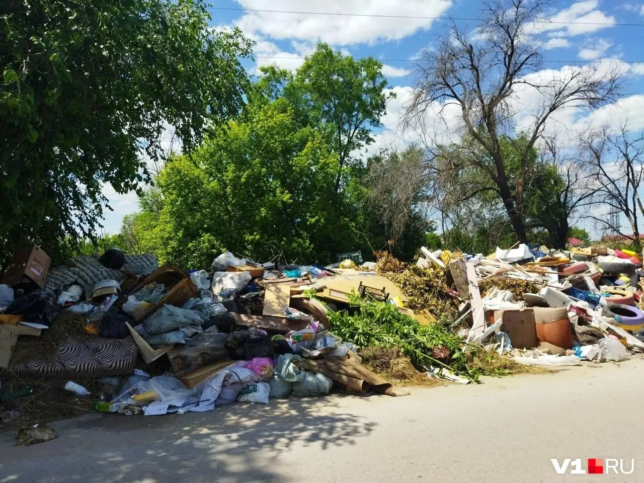 На улице Никопольской образовалась крупная свалка, которая сползает на проезжую часть и источает сильный запах. Экологи предлагают системные меры, администрация обещает очередную уборку.