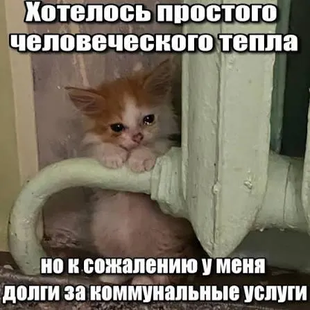 Суд подтвердил, что трёхлетний срок исковой давности по ГК РФ защищает должников от принудительного взыскания задолженностей за капитальный ремонт. Решение важно для покупателей вторичного жилья и наследников.