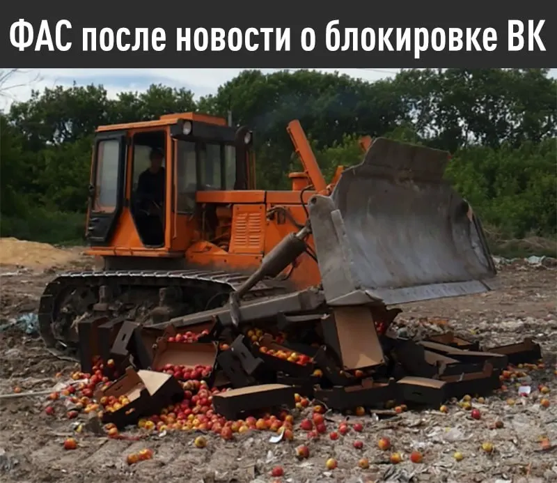 Федеральная антимонопольная служба дала Apple срок до 15 июля: устранить «дискриминационные» условия для российских поисковых систем и предустановить отечественное ПО или столкнуться с делом и штрафом.