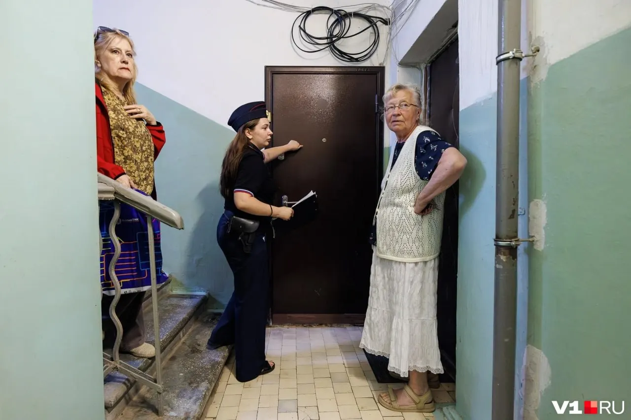 Женщина в «сталинке» на центральной улице Волгограда живёт с десятками кошек. Соседи жалуются на запах, а приюты и волонтёры пока не откликаются.
