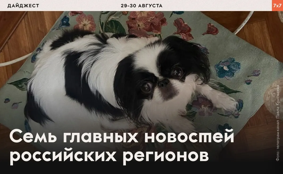 В выпуске — принуждение заключённых к бегу, проверка маникюрщиц, запреты на агитацию и дела ФСБ в ряде регионов.