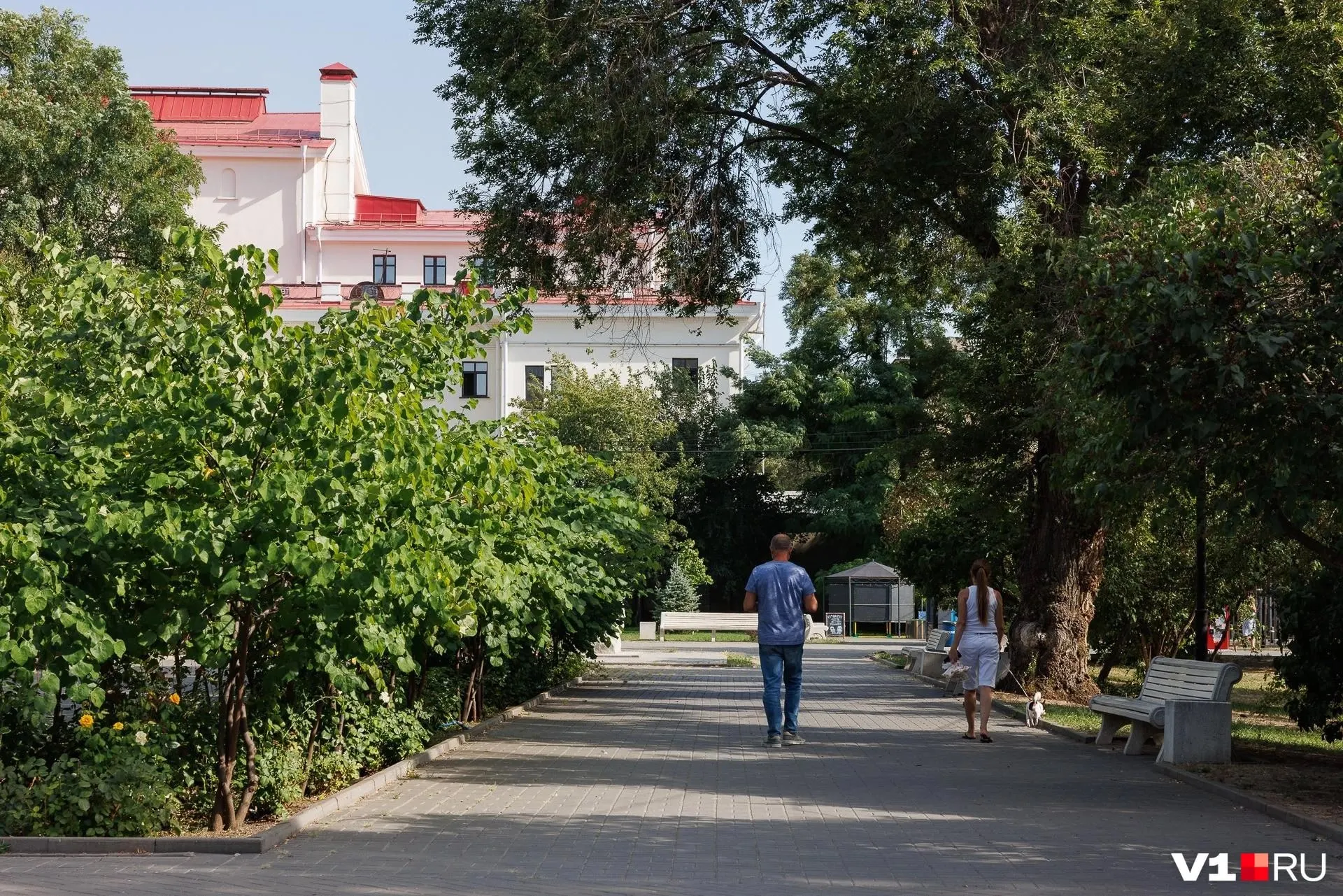 В Горсаде запланировано создание культурно-образовательного центра и дополнительных объектов. Обсуждения прошли, работы могут затронуть территорию от улицы Володарского до сцены в центре парка.
