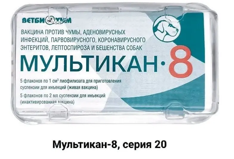Хозяева погибших животных требуют огласки и прозрачного расследования после прививок, считая, что причины смертей замалчиваются и анализы затягиваются. Случаи зафиксированы в нескольких регионах; производитель отозвал серии вакцины, государственные органы планируют проверки.