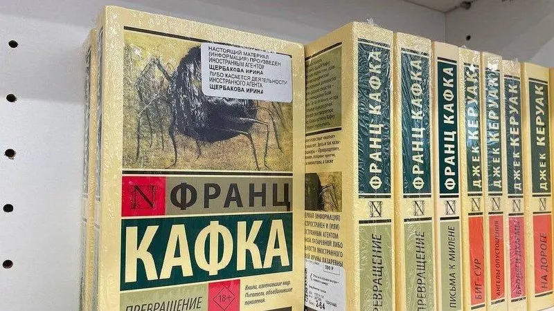 Рассматривается возможность легализации таких публикаций и последствия для библиотек и книжной индустрии. В правительственных кругах обсуждаются варианты правоприменения и изменения норм.
