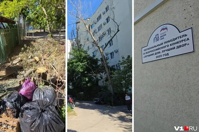 Жители требуют наведения порядка во дворе и привлекают УК к ответственности за уборку.