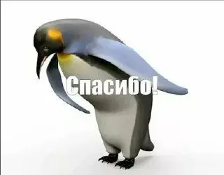 Власти заявляют об отсутствии целесообразности нового маршрута и утверждают, что он создаст искусственную конкуренцию. По данным комитета транспорта, на маршрут ежедневно выходит 62 небольших автобуса, а в часы пик их число увеличивается. Гражданам предлагают альтернативу — маршрутки из Среднеахтубинского района.
