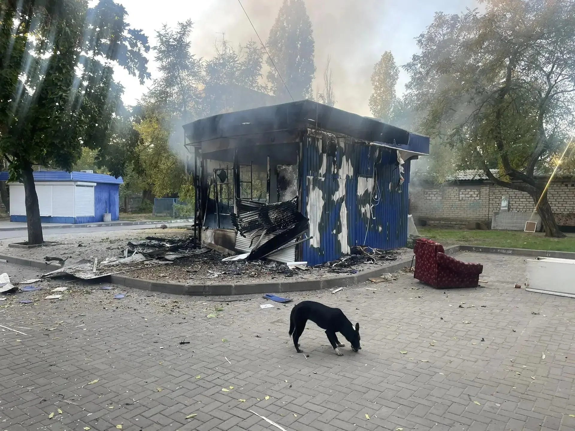 Центр страны стал эпицентром ночной волны атак беспилотников; ситуация требует оперативных действий.